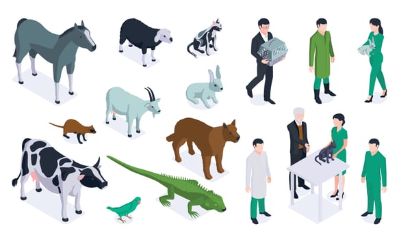 Isometric Veterinary Color Icon Set vector