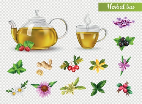 Herbal Tea Set vector