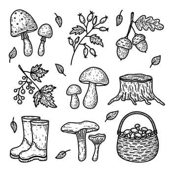 Doodle set of autumn elements - forest mushrooms, berry twigs, acorns, rubber boots and others. Vector hand-drawn illustration isolated on white background. Perfect for cards, logo, decorations.