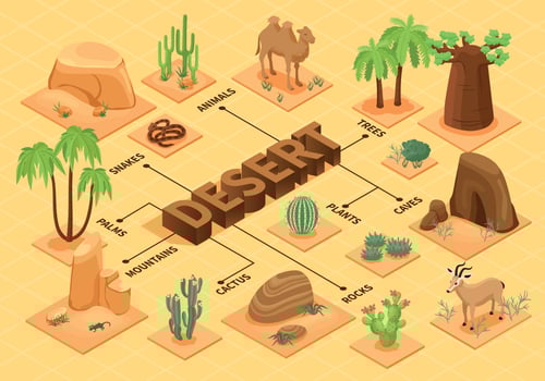 Desert Isometric Flowchart vector