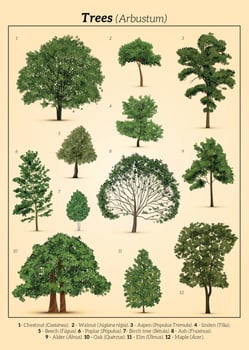 Realistic Trees Poster Composition vector
