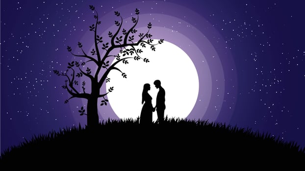 Romantic couple background vector