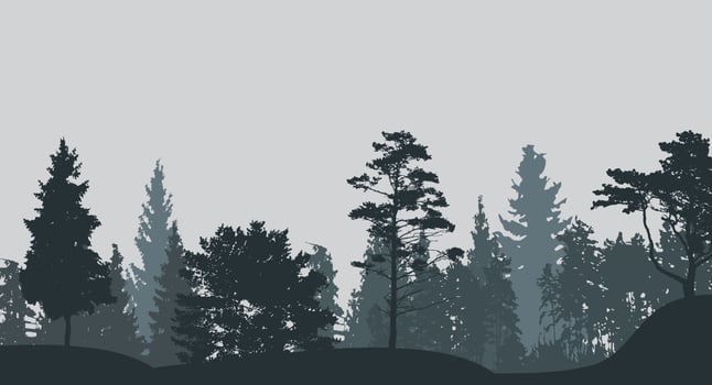 Image of Nature. Tree Silhouette. Vector Illustration