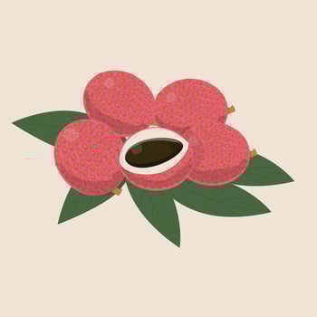 Lychi, flat design vector
