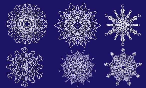 Set of white snowflakes vector