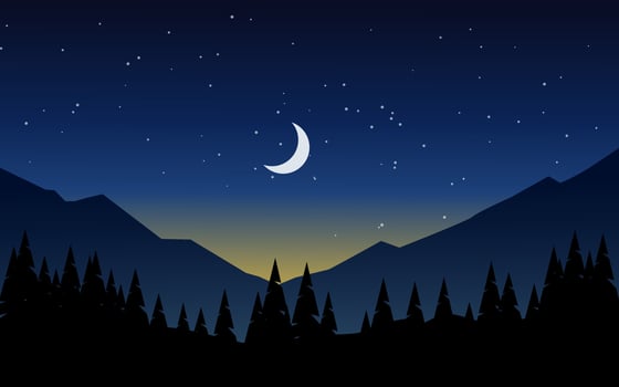 Mountain night forest landscape with moon and stars vector
