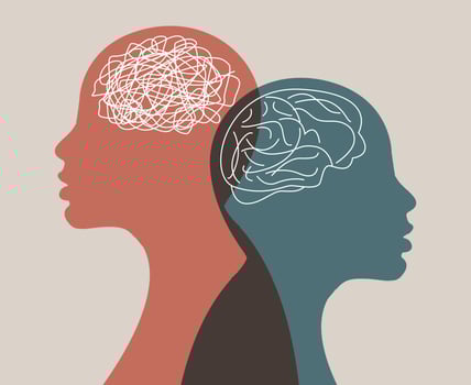 Metaphor bipolar disorder mind mental. Vector. vector