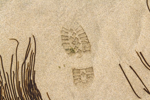 Imprint of the shoe on mud with copy space photo