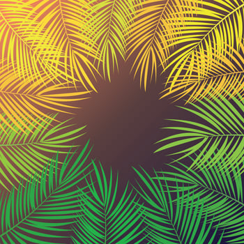 Palm Leaf Vector Background Illustration