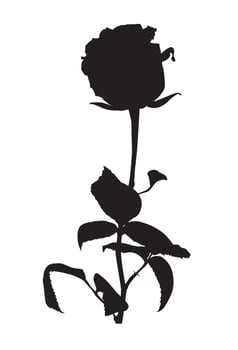 Rose Silhouette Vector Illustration