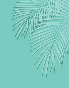 Beautiful Palm Leaf Background. Vector Illustration