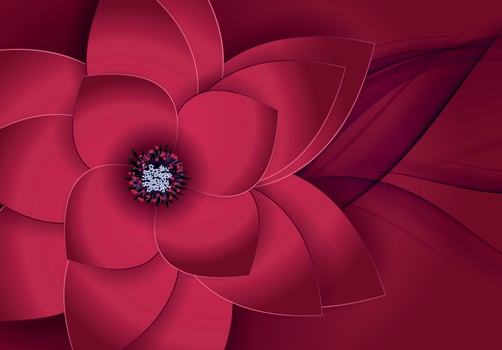 Abstract Blossom Floral Greeting Card Background vector