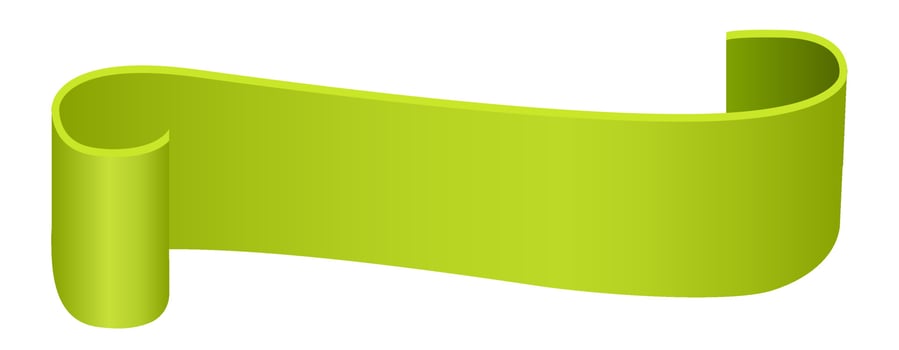 green blank ribbon tag vector
