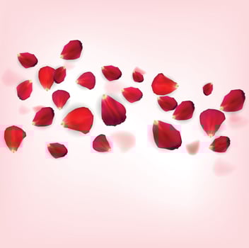 Background of Naturalistic Rose Petals. Vector Illustration