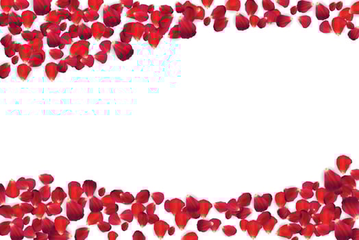 Background of Naturalistic Rose Petals. Vector Illustration
