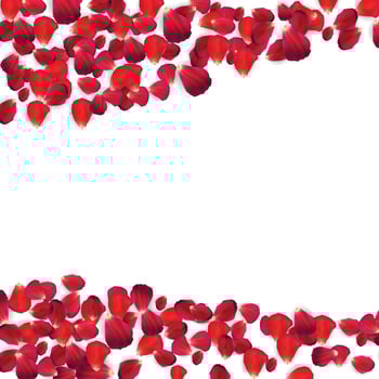 Background of Naturalistic Rose Petals. Vector Illustration