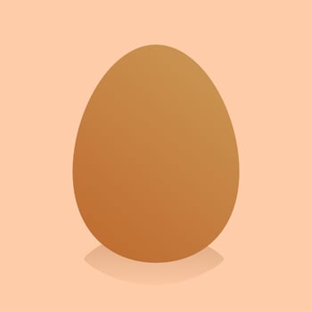 chicken egg. fresh chicken eggs in vector illustration