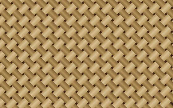 Hand Made Bamboo Mat Background Pattern vector