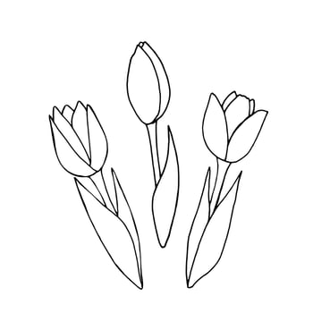 Tulips flower set. Botanical plant sketch. Concept Women's Day, spring, easter. Hand drawn vector floral illustration in doodle style outline drawing isolated on white background.