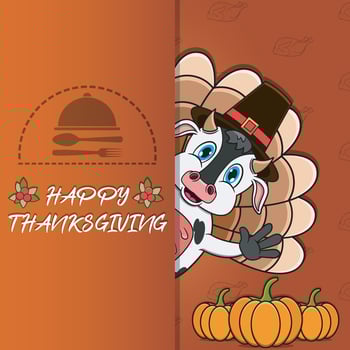 Thanksgiving card with Cow Character Design. Happy Thanksgiving. Perfect For greeting card, Poster or Flyer Celebration Design. vector