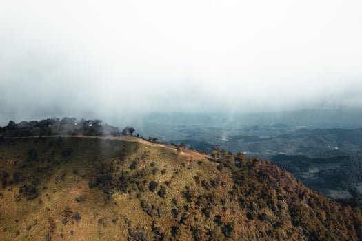 on the mountain during the day photo