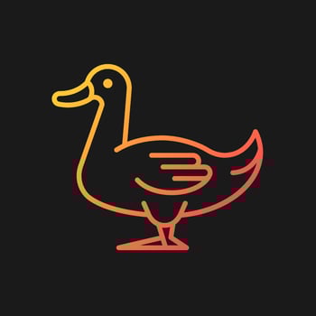 Domestic duck gradient vector icon for dark theme. Domestic bird raising for meat, eggs, down. Commercial duck growing. Thin line color symbol. Modern style pictogram. Vector isolated outline drawing