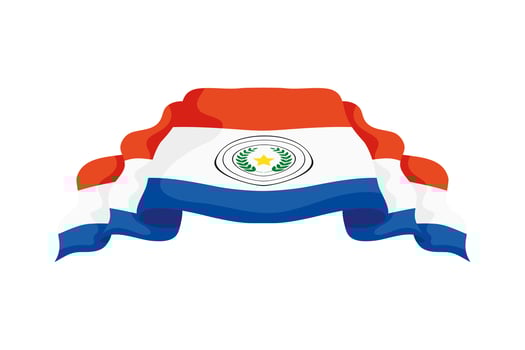 Paraguay flag emblem vector