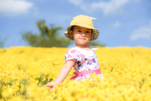 Little asian child girl have fun with a happy smiling face at the morning garden natural flower, Cute girl children kids playing outside on bright day beautiful flower in spring outdoors photo