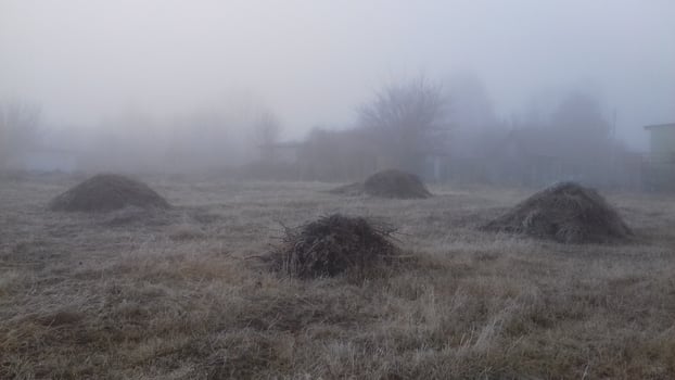 Morning fog in the countryside photo