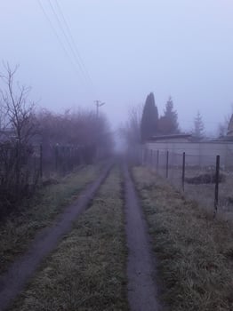 Morning fog in the countryside photo