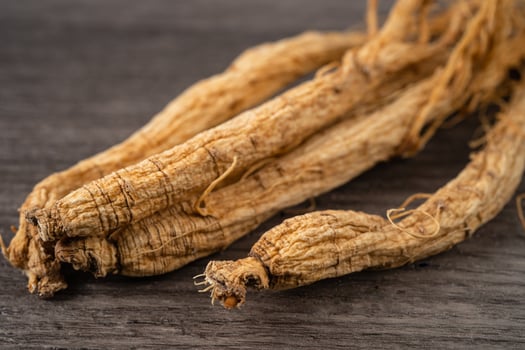Ginseng, dried vegetable herb. Healthy food famous export food in Korea country. photo