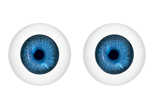 Blue eyes vector. Vector illustration of blue eyes