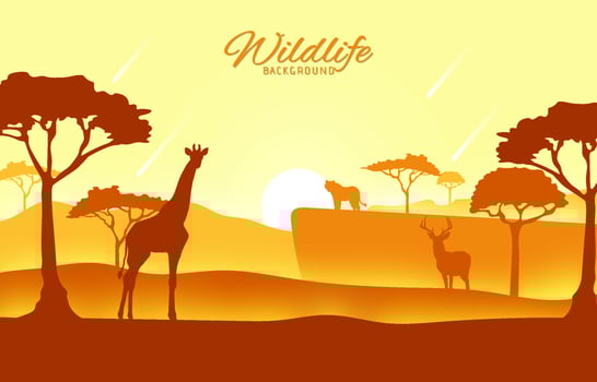 Nature Wildlife Background vector