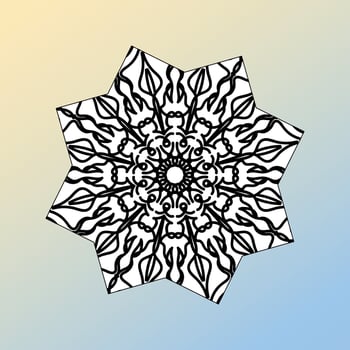 beautiful mandala in the stars vector