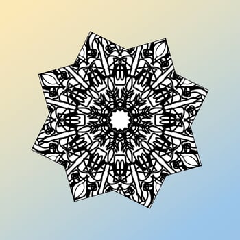 beautiful mandala in the stars vector