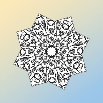 beautiful mandala in the stars vector