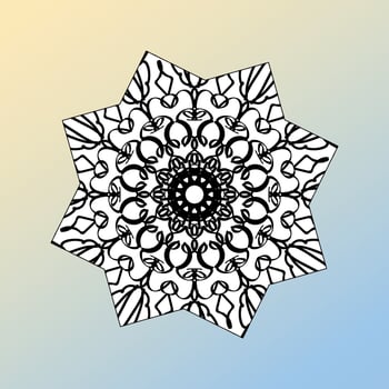 beautiful mandala in the stars vector