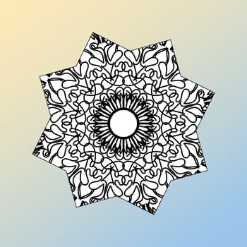 beautiful mandala in the stars vector