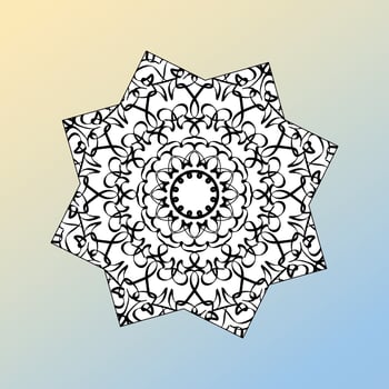 beautiful mandala in the stars vector