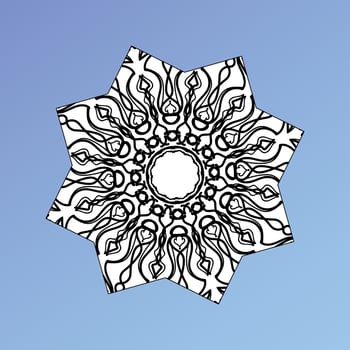 beautiful mandala in the stars vector