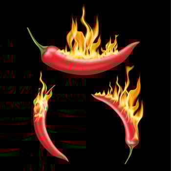 Red chili pepper with fire on solid color background. Emblem spicy food hot. 3D Vector EPS10 illustration.