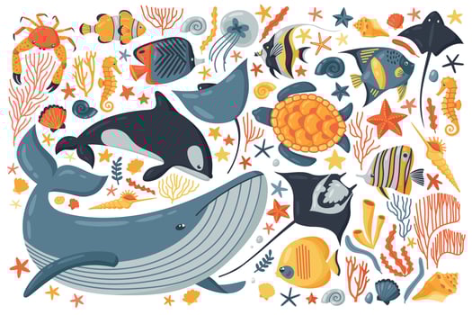 Ocean Colour Set vector