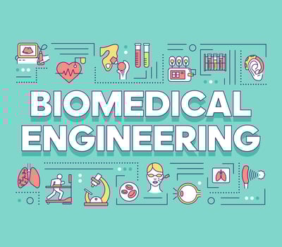 Biomedical engineering word concepts banner. Biotechnology for health. Healthcare development. Presentation, website. Isolated lettering typography idea with linear icons. Vector outline illustration