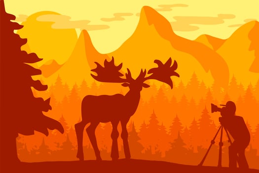 Photographer photographs deer in nature vector