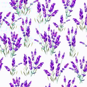 Pattern of lavender flowers on a white background vector