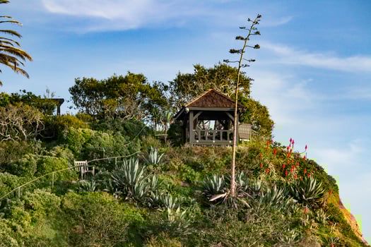 Laguna Beach, Dec 2018 photo