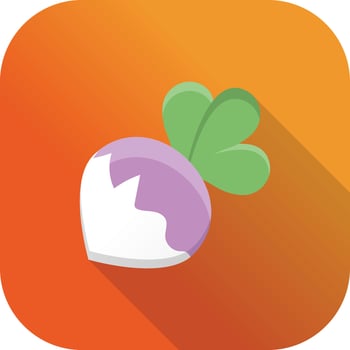 turnip flat icon vector