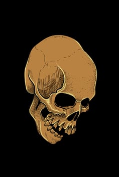 Skull artwork style engraving illustration vector