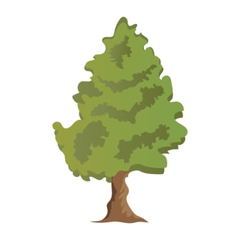 Cedar Tree Concepts vector