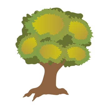 Sawtooth Oak Concepts vector
